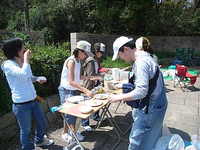 CafeJaws2009-3